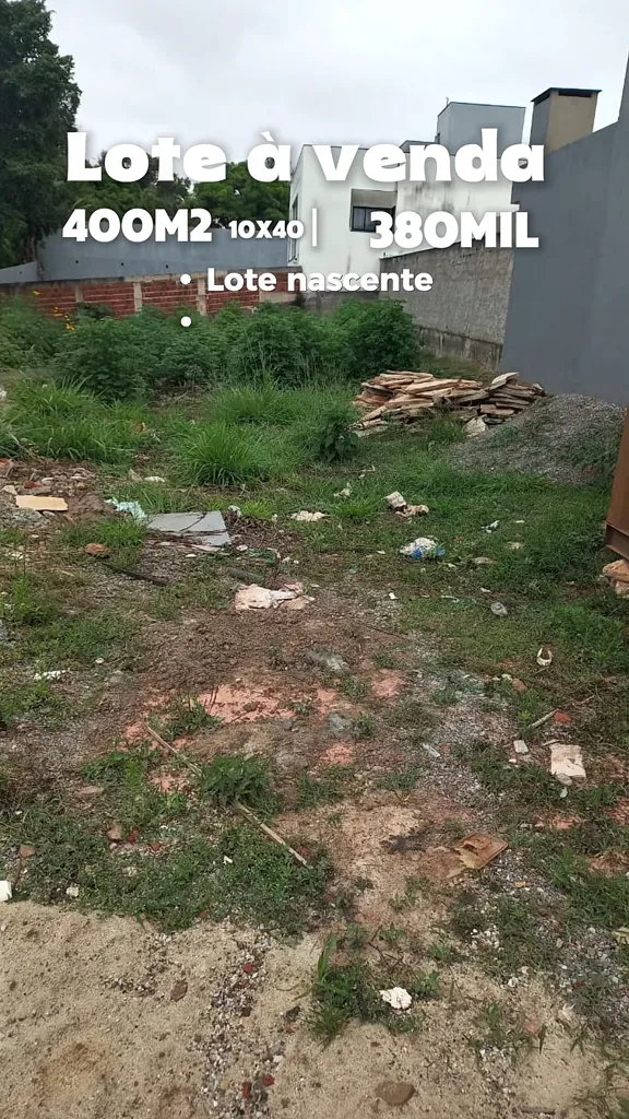 Vista do lote no sentido do fundo, com vegetação baixa